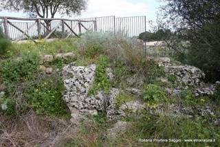 stellaccio02-07-2015 19-14-03